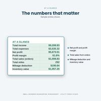 Bookkeeping Template, photo 5 of 18