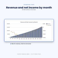Startup Financial Model, photo 4 of 19