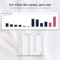 Wedding Budget Spreadsheet, photo 3 of 10