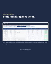 Weight Loss Tracker Spreadsheet, photo 6 of 19