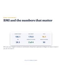 Weight Loss Tracker Spreadsheet, photo 15 of 19