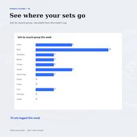 Workout planner spreadsheet Dashboard bar chart showing sets by muscle group this week, with the source totals calculated from the fictional sample Log.