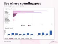 Two native Light Dashboard charts show Budget vs spent by occasion and Spent by month. The occasion chart shows all 14 Setup categories. The monthly chart shows January through December.
