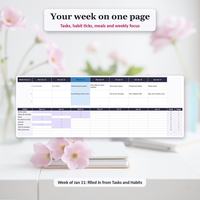Life planner spreadsheet Week page for January 11 with tasks under each day and a habit tick grid with weekly totals and targets.