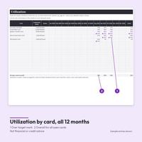 Utilization by card, all 12 months: Jan to Dec 2026 grid, Balance Transfer Card 49%, 46%, 42% with over marks, Home Goods Store Card 60% over, overall 28%, 29%, 25%. Not financial or credit advice.