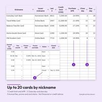 Up to 20 cards by nickname: Cards tab with 5 cards, Everyday Cash Back 5,000.00 limit at 24.99%, close day 3, due day 28, and a detail with Travel Miles Card 95.00 fee in Dec, promo end dates, Open and Closed.